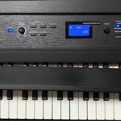 ALESIS Recital PRO】電子ピアノ (ひよこ) 東青梅の鍵盤楽器