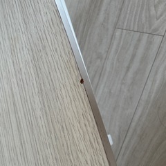 ローテーブル　折りたたみ　ホワイトの画像