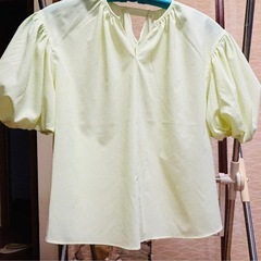 女性用　夏物シャツ3枚セットの画像