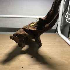 未使用　流木➅33センチの画像