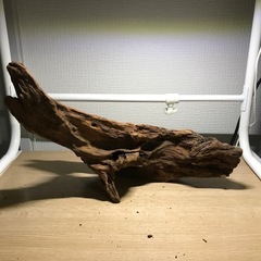 未使用　流木➅33センチの画像