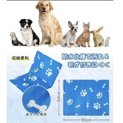 新品未使用！ペット ひんやりマット 犬猫用 二重ふちどり 50×65CM 冷却マット ブルー　夏　暑さ対策　ペット用品 マットの画像