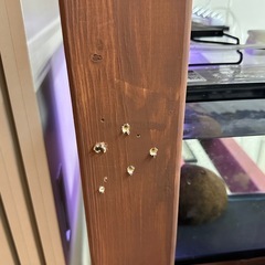 水槽棚　什器　S水槽用の画像