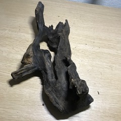 中古　流木➆ 26センチの画像