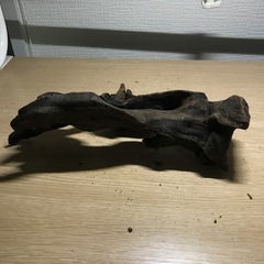 中古　流木➆ 26センチの画像