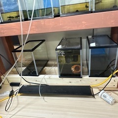 水槽棚　什器　S水槽用の画像