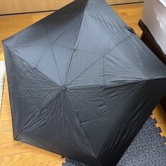 折りたたみ傘　晴雨兼用　Wpc の画像