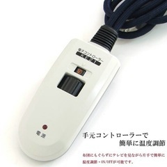 楕円形おしゃれこたつ テーブル 布団付きの画像