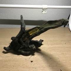 中古　流木➇22センチの画像