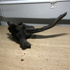 中古　流木➇22センチの画像