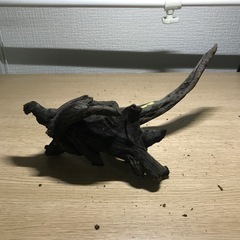 中古　流木➇22センチの画像