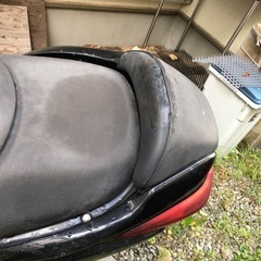 フォルツァの画像