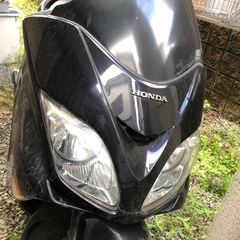 フォルツァの画像