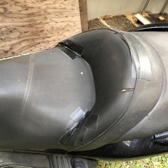 フォルツァの画像