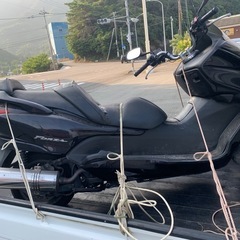 フォルツァの画像