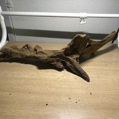 未使用　流木➈ 42センチの画像