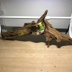 未使用　流木➈ 42センチの画像