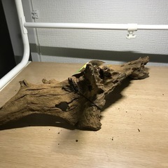 未使用　流木➈ 42センチの画像