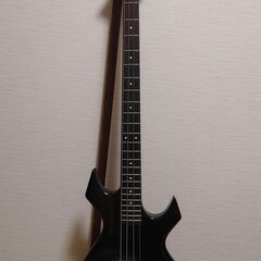 Custom Bass