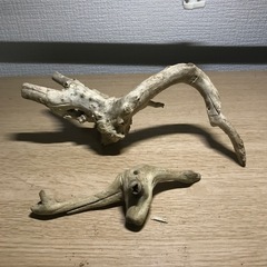 中古　白い流木セット　20センチ13センチの画像