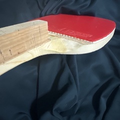 虎剣 ゴールド 木曽檜単板ラケット 練習用単板ラケット付きの画像