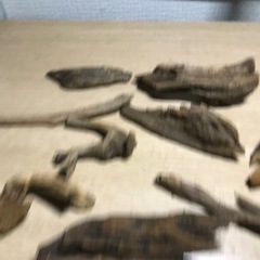 ミニ流木セット　13個サイズバラバラの画像