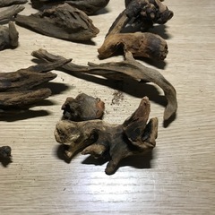 ミニ流木セット　13個サイズバラバラの画像