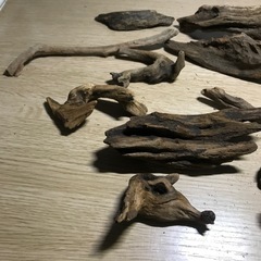 ミニ流木セット　13個サイズバラバラの画像