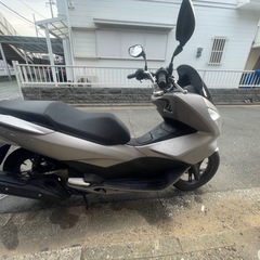 ホンダ PCX 125cc  JF56の画像