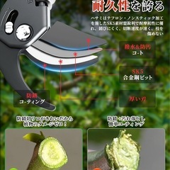 【新品未開封】剪定ばさみ 庭ばさみ 枝きり ガーデニングの画像