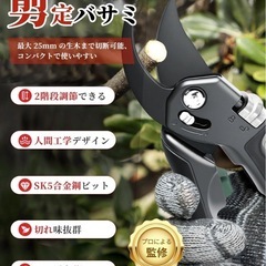 【新品未開封】剪定ばさみ 庭ばさみ 枝きり ガーデニングの画像