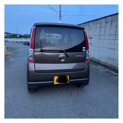 ステラの画像