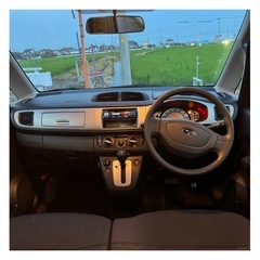 ステラの画像