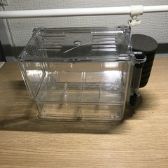 中古　産卵ボックススポンジフィルター付きの画像