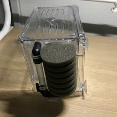 中古　産卵ボックススポンジフィルター付きの画像
