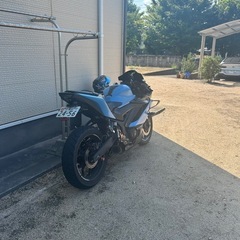 ヤマハ R25 US仕様 SS 250の画像
