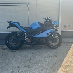 ヤマハ R25 US仕様 SS 250の画像