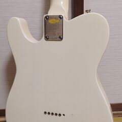 34. Triumph Telecasterの画像