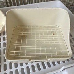 うさぎ　飼育セットの画像