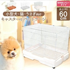 うさぎ　飼育セットの画像