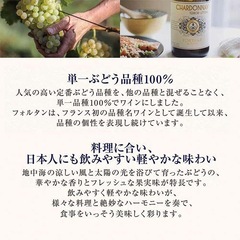 【未開封】FORTANT フォルタン シャルドネ 750ml フランス産 白ワインの画像