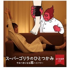 スーパーゴリラのひとつかみの画像