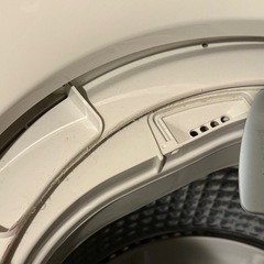 AQUA forest silver 5.0kgの画像