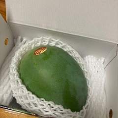 贈答用キーツマンゴー　2玉1キロの画像