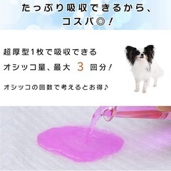 新品未開封　ペットシーツ　100枚　ワイド　厚型　犬　の画像