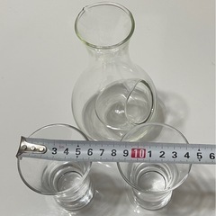 冷酒用　氷の入る徳利とおちょこのセットの画像