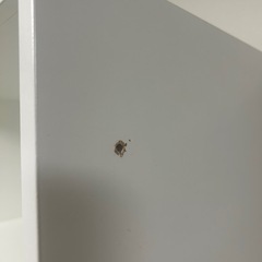 IKEA イケア　PAX パックス　白　50x35x201 cmの画像