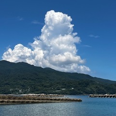 同行、お手伝い