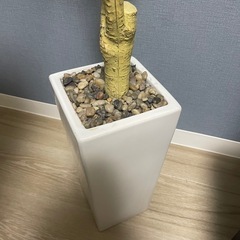 人工観葉植物　の画像