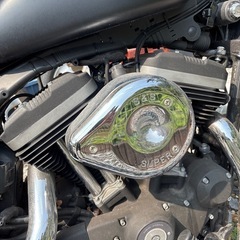 ハーレー　
xl883n カスタムの画像